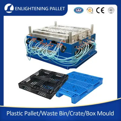 Boîte de palette en plastique/bac/moule de conteneur Boîte en plastique/moule de caisse